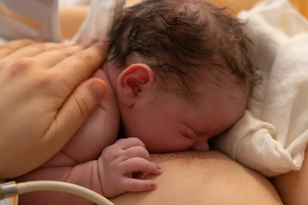 Newborn baby with mom after c-section Royalty Free Stock Photos