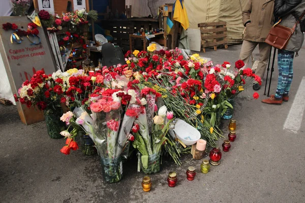Kijów, Ukraina - 8 marca 2014: Kilka kwiatów ku pamięci poległych w Kijowie, Majdan — Zdjęcie stockowe