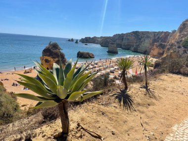 Praia Dona Ana Sahili turkuaz deniz suyu ve uçurumları, Portekiz sahillerinde uçan martılar. Güzel Dona Ana Sahili (Praia Dona Ana) Lagos, Algarve, Portekiz.