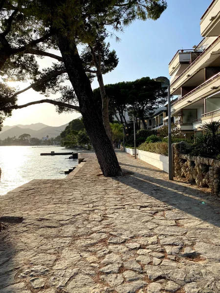Güzel bir plaj ve sahil Mallorca, İspanya'nın de Pollenca - bağlantı noktası