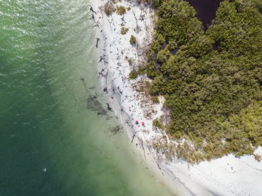 Güzel sahil manzarası. Kumsalda turkuaz deniz suyunun hava dronu görüntüsü. Mesaj için uzay. Turkuaz suyu ve büyük dalgalı havadan manzaralı Karayipler sahili. Florida Cayo Costa Adası
