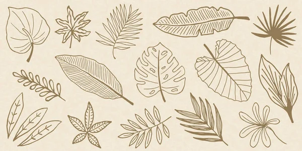 Collezione Tropical Leaves Doodle — Vettoriale Stock