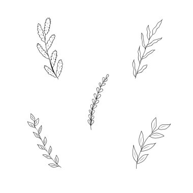 Siyah dallar ve bitkiler.