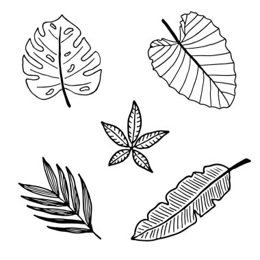 Karalama tarzında tropikal yapraklar