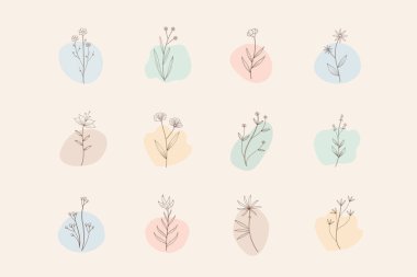 Instagram hikaye vurgu simgesi. Çiçek ve yapraklı karalama elementleri. Boho çiçek logosu tasarımı. Butik için logo, çiçekçi dükkanı, ekolojik ürün. El çizimi vektör illüstrasyonu