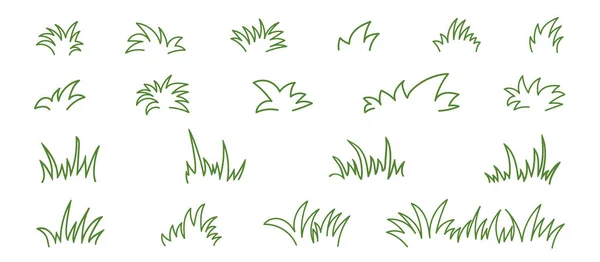 Ensemble de caniches avec croquis en herbe verte. Ligne dessinée à la main. Illustration vectorielle — Image vectorielle