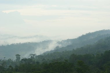 Çok rahatlatıcı doğal bir manzara, sabahları vadi, kasvetli bir gökyüzüne sarılmış yeşil bir manzara.