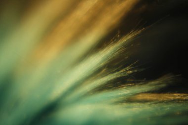 Yapay kumaş rengini kapat. Ayrı lifler gradyan turkuazını griye çevir.