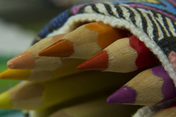 Estuche Tela Contiene Conjunto Lápices Colores — Foto de Stock