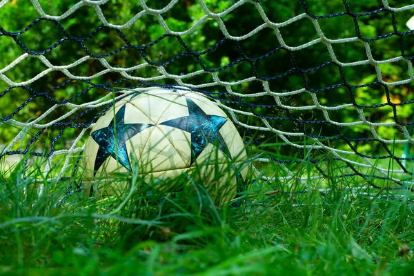 football in net on grassy backyard - side view
