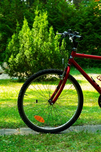 Front Part Red Mountain Bicycle — Stock Photo, Image