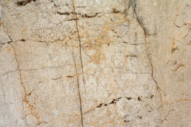 Çatlak ve benekli granit desenli. Banyo dekorasyonu için açık sarı doğal taş.