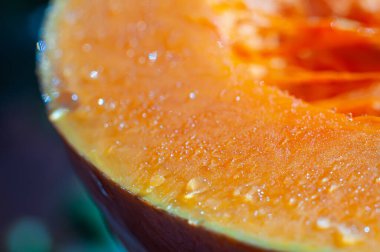 Olgun ve sulu balkabağı, kesiğin üzerinde meyve suyu damlaları belirdi, parlak ışık, yakın plan. Bulanık arkaplan, seçici odak