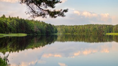 Vahşi doğada yaz manzarası, el değmemiş orman ve suyun ayna yüzeyi, suyun üstünde daireler. Kamp ve balıkçılık