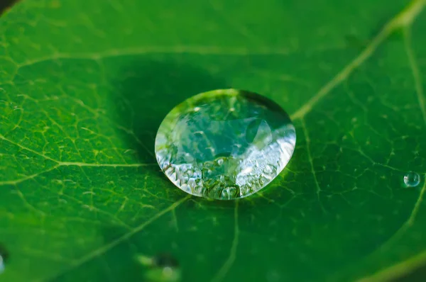 Блискуча одинарна крапля на зеленому листі, крупним планом зображення тла — стокове фото
