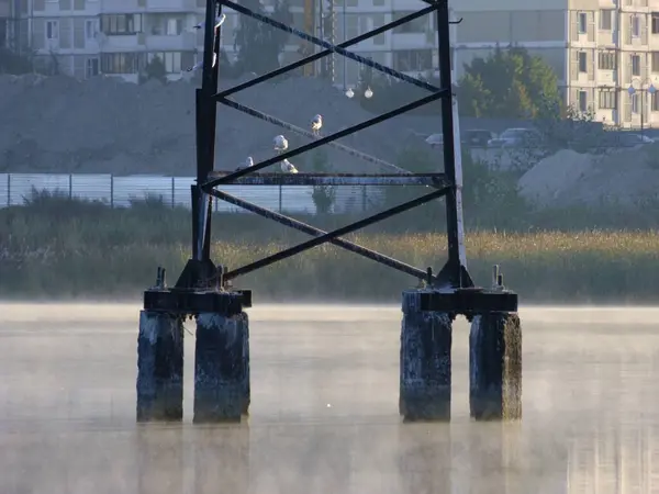 Les Mouettes Sont Assises Sur Support Métallique Dans Lac Tôt — Photo