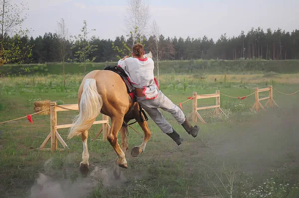 Kyiv, Ukrayna. 6 Temmuz 2013. Sürücü, Doğu Avrupa 'da yaz gündönümü vesilesiyle geleneksel bir binicilik gösterisinde gösteri yapıyor.