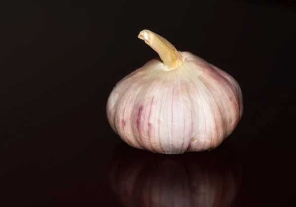 Still Life Foto Satu Bawang Putih — Stok Foto