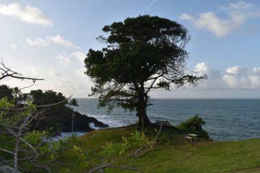 Toco sahili ve kıyı şeridi manzarası, Toco, Trinidad ve Tobago