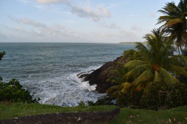 Toco sahili ve kıyı şeridi manzarası, Toco, Trinidad ve Tobago