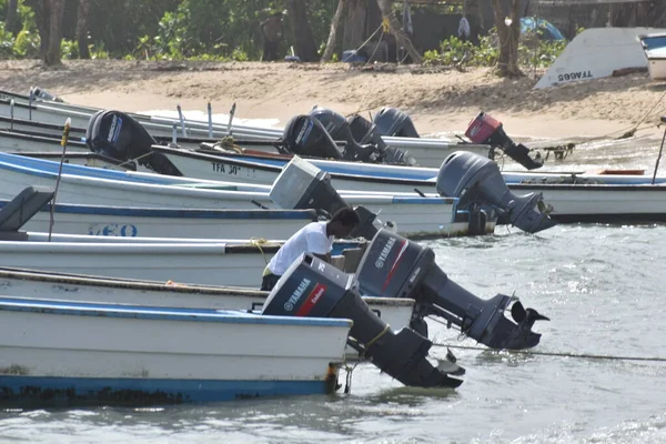 特立尼达和多巴哥 2022年3月27日 西印度群岛 特里尼达 萨林湾 木制渔船或捕捞孔雀 — 图库照片