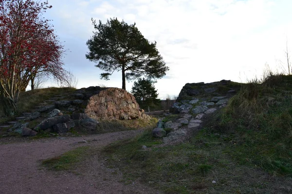 Natura Careliana Della Regione Vyborg Straordinariamente Sottomesso Bello Sereno — Foto Stock