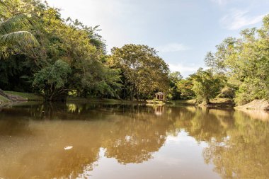 Labuan, Malezya-08 Haziran 2021, Labuan Botanik Bahçesi Labuan Adası 'nın en ünlü yerlerinden biridir. Kasabaya yakın bir yerde. Jalan OKK Abdullah boyunca eski havaalanının hemen arkasında yer almaktadır..