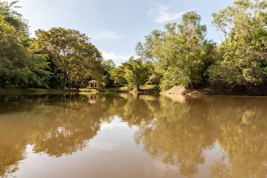 Labuan, Malezya-08 Haziran 2021, Labuan Botanik Bahçesi Labuan Adası 'nın en ünlü yerlerinden biridir. Kasabaya yakın bir yerde. Jalan OKK Abdullah boyunca eski havaalanının hemen arkasında yer almaktadır..