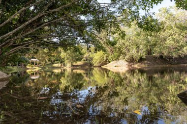 Labuan, Malezya-08 Haziran 2021, Labuan Botanik Bahçesi Labuan Adası 'nın en ünlü yerlerinden biridir. Kasabaya yakın bir yerde. Jalan OKK Abdullah boyunca eski havaalanının hemen arkasında yer almaktadır..