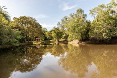 Labuan, Malezya-08 Haziran 2021, Labuan Botanik Bahçesi Labuan Adası 'nın en ünlü yerlerinden biridir. Kasabaya yakın bir yerde. Jalan OKK Abdullah boyunca eski havaalanının hemen arkasında yer almaktadır..