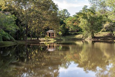Labuan, Malezya-08 Haziran 2021, Labuan Botanik Bahçesi Labuan Adası 'nın en ünlü yerlerinden biridir. Kasabaya yakın bir yerde. Jalan OKK Abdullah boyunca eski havaalanının hemen arkasında yer almaktadır..