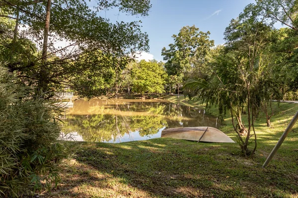 Labuan, Malezya-08 Haziran 2021, Labuan Botanik Bahçesi Labuan Adası 'nın en ünlü yerlerinden biridir. Kasabaya yakın bir yerde. Jalan OKK Abdullah boyunca eski havaalanının hemen arkasında yer almaktadır..
