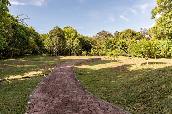 Labuan, Malezya-08 Haziran 2021, Labuan Botanik Bahçesi Labuan Adası 'nın en ünlü yerlerinden biridir. Kasabaya yakın bir yerde. Jalan OKK Abdullah boyunca eski havaalanının hemen arkasında yer almaktadır..