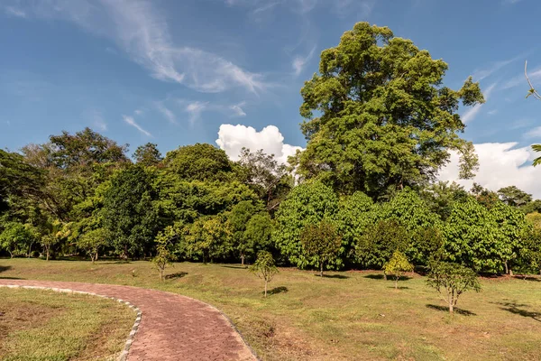 Labuan, Malezya-08 Haziran 2021, Labuan Botanik Bahçesi Labuan Adası 'nın en ünlü yerlerinden biridir. Kasabaya yakın bir yerde. Jalan OKK Abdullah boyunca eski havaalanının hemen arkasında yer almaktadır..