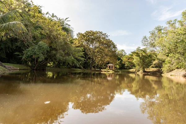 Labuan, Malezya-08 Haziran 2021, Labuan Botanik Bahçesi Labuan Adası 'nın en ünlü yerlerinden biridir. Kasabaya yakın bir yerde. Jalan OKK Abdullah boyunca eski havaalanının hemen arkasında yer almaktadır..