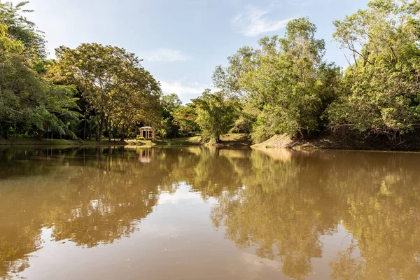 Labuan, Malezya-08 Haziran 2021, Labuan Botanik Bahçesi Labuan Adası 'nın en ünlü yerlerinden biridir. Kasabaya yakın bir yerde. Jalan OKK Abdullah boyunca eski havaalanının hemen arkasında yer almaktadır..