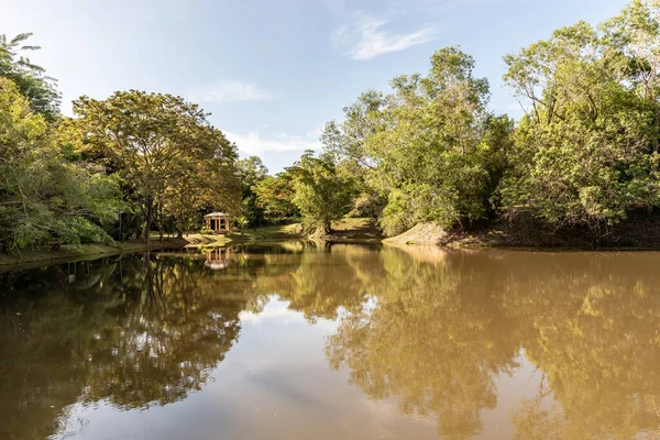 Labuan, Malezya-08 Haziran 2021, Labuan Botanik Bahçesi Labuan Adası 'nın en ünlü yerlerinden biridir. Kasabaya yakın bir yerde. Jalan OKK Abdullah boyunca eski havaalanının hemen arkasında yer almaktadır..