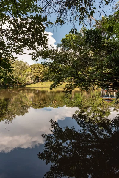 Labuan, Malezya-08 Haziran 2021, Labuan Botanik Bahçesi Labuan Adası 'nın en ünlü yerlerinden biridir. Kasabaya yakın bir yerde. Jalan OKK Abdullah boyunca eski havaalanının hemen arkasında yer almaktadır..