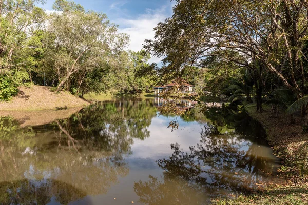 Labuan, Malezya-08 Haziran 2021, Labuan Botanik Bahçesi Labuan Adası 'nın en ünlü yerlerinden biridir. Kasabaya yakın bir yerde. Jalan OKK Abdullah boyunca eski havaalanının hemen arkasında yer almaktadır..
