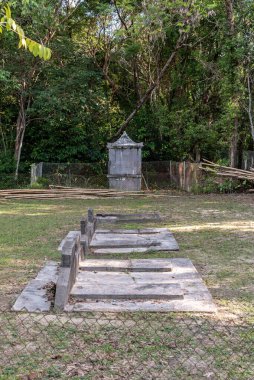 Labuan, Malezya-08 Haziran 2021, Labuan Botanik Bahçesi Labuan Adası 'nın en ünlü yerlerinden biridir. Kasabaya yakın bir yerde. Jalan OKK Abdullah boyunca eski havaalanının hemen arkasında yer almaktadır..
