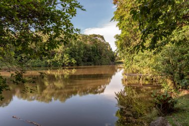 Labuan, Malezya-08 Haziran 2021, Labuan Botanik Bahçesi Labuan Adası 'nın en ünlü yerlerinden biridir. Kasabaya yakın bir yerde. Jalan OKK Abdullah boyunca eski havaalanının hemen arkasında yer almaktadır..