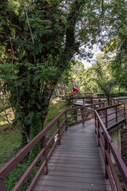 Labuan, Malezya-08 Haziran 2021, Labuan Botanik Bahçesi Labuan Adası 'nın en ünlü yerlerinden biridir. Kasabaya yakın bir yerde. Jalan OKK Abdullah boyunca eski havaalanının hemen arkasında yer almaktadır..