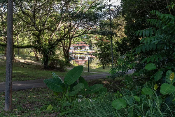 Labuan Malaysia Juni 2021 Labuan Botaniska Trädgården Många Kända Attraktioner — Stockfoto