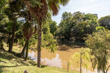 Labuan, Malezya-08 Haziran 2021, Labuan Botanik Bahçesi Labuan Adası 'nın en ünlü yerlerinden biridir. Kasabaya yakın bir yerde. Jalan OKK Abdullah boyunca eski havaalanının hemen arkasında yer almaktadır..