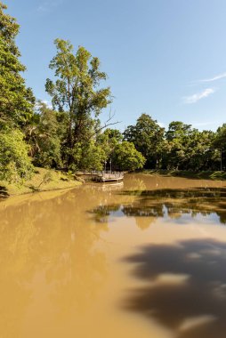 Labuan, Malezya-08 Haziran 2021, Labuan Botanik Bahçesi Labuan Adası 'nın en ünlü yerlerinden biridir. Kasabaya yakın bir yerde. Jalan OKK Abdullah boyunca eski havaalanının hemen arkasında yer almaktadır..