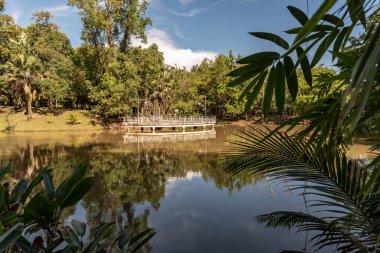 Labuan, Malezya-08 Haziran 2021, Labuan Botanik Bahçesi Labuan Adası 'nın en ünlü yerlerinden biridir. Kasabaya yakın bir yerde. Jalan OKK Abdullah boyunca eski havaalanının hemen arkasında yer almaktadır..