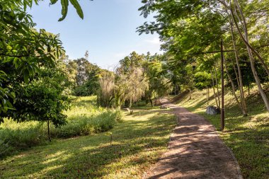 Labuan, Malezya-08 Haziran 2021, Labuan Botanik Bahçesi Labuan Adası 'nın en ünlü yerlerinden biridir. Kasabaya yakın bir yerde. Jalan OKK Abdullah boyunca eski havaalanının hemen arkasında yer almaktadır..
