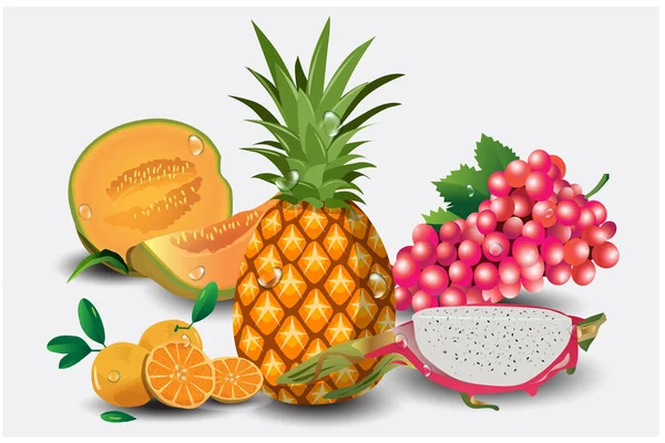 Llustration Vector Mixed Fruit Pineapple Grapes Dragon Fruit Caltaloupe Grapes — Stock Vector