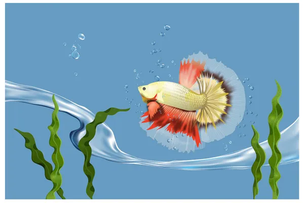 Tayland Balık Vektör Çizimi Yurtdışında Betta Balığı Güzel Renkler Çizimler — Stok Vektör
