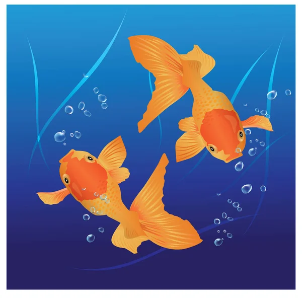 Illustration Collection Swimming Goldfish Many Designs Making Posters Icons Symbols — Stock Vector